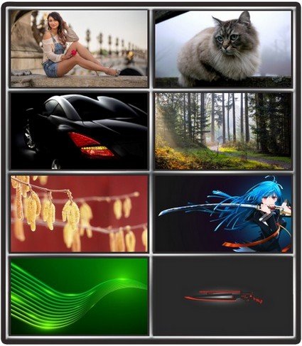 Collection wallpapers to your desktop #972