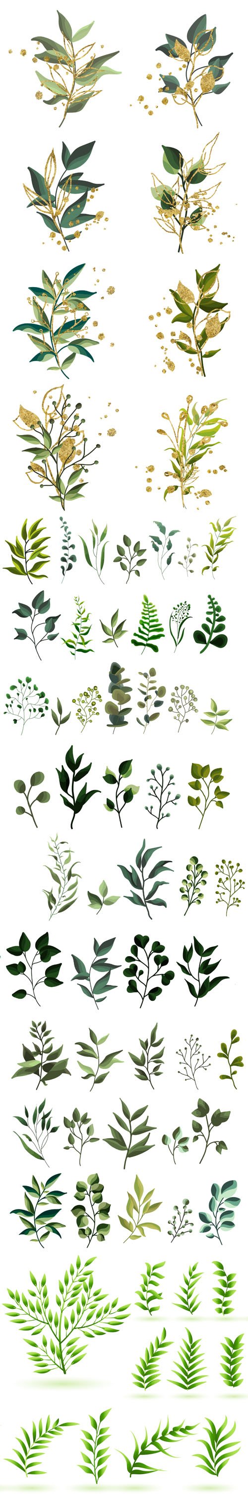 Collection of Plants, Leaves and Flowers Vector Templates