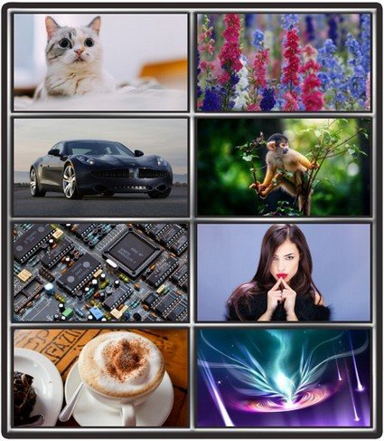 Collection wallpapers to your desktop #970