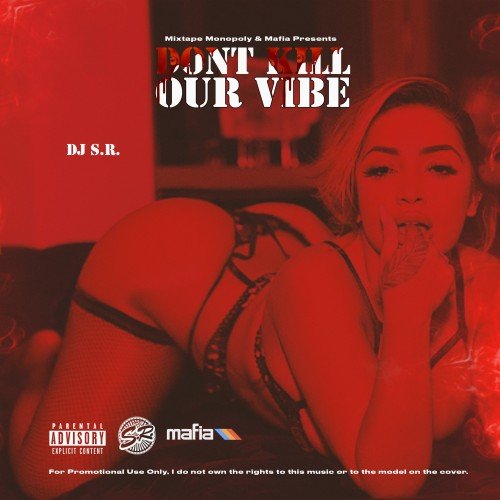 DJ S.R. - Don't Kill Our Vibe