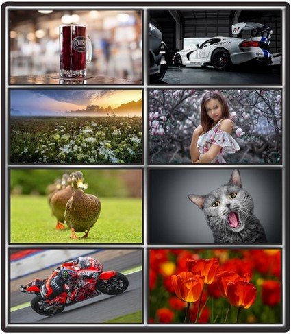 Collection wallpapers to your desktop #966