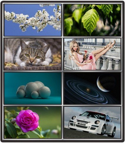 Collection wallpapers to your desktop #971