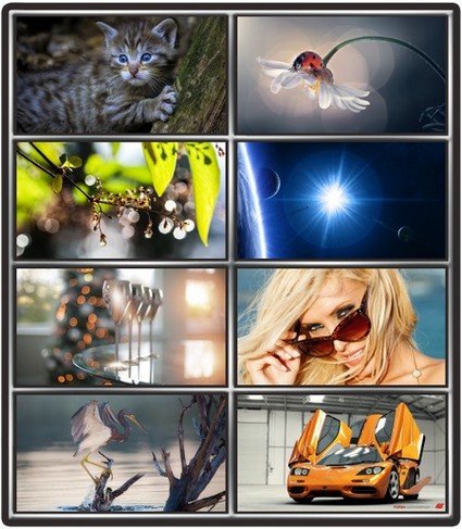 Collection wallpapers to your desktop #975