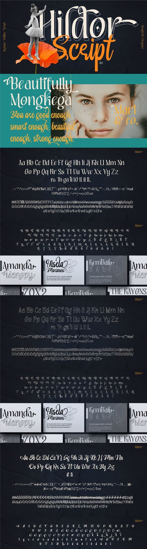 Hildor - Modern Display Font Family [3-Weights]