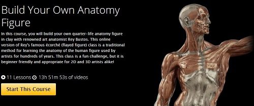Build Your Own Anatomy Figure