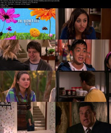 The Secret Life of the American Teenager S02 WEBRip x264-ION10