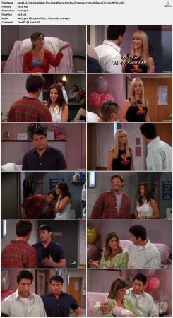 Friends S09 720p BluRay 2CH x265 HEVC-PSA