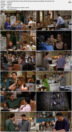 Friends S03 720p BluRay 2CH x265 HEVC-PSA