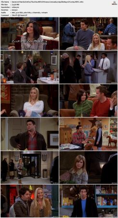 Friends S10 720p BluRay 2CH x265 HEVC-PSA