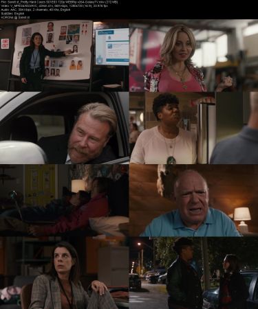 Pretty Hard Cases S01 720p WEBRip x264-GalaxyTV