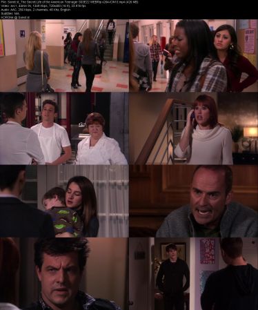The Secret Life of the American Teenager S03 WEBRip x264-ION10