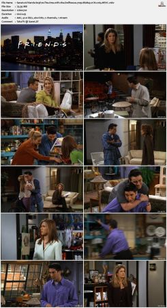 Friends S03 720p BluRay 2CH x265 HEVC-PSA