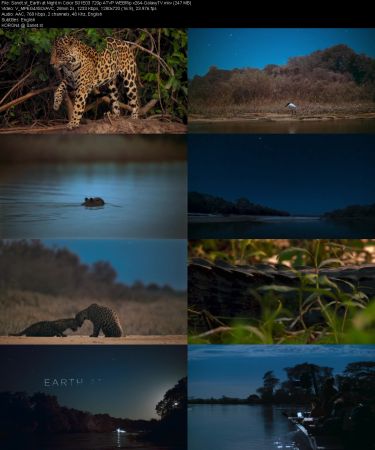 Earth at Night in Color S01 PART1 720p ATVP WEBRip x264-GalaxyTV