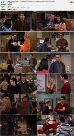 Friends S05 720p BluRay 2CH x265 HEVC-PSA