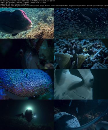 Earth at Night in Color S02 720p ATVP WEBRip x264-GalaxyTV
