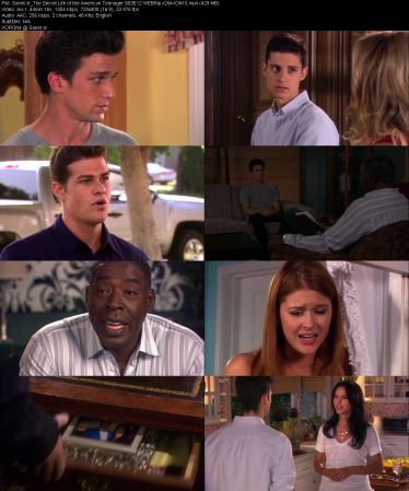 The Secret Life of the American Teenager S03 WEBRip x264-ION10