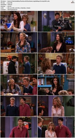 Friends S08 720p BluRay 2CH x265 HEVC-PSA