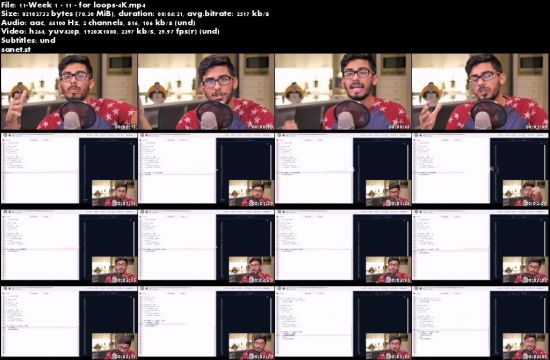 Rafeh Qazi - The Profitable Programmer 2.0