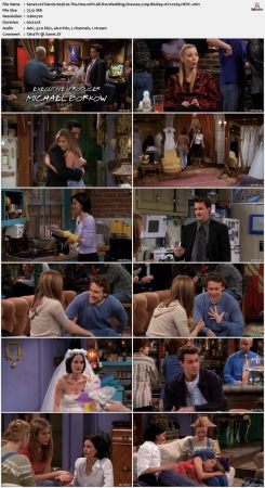 Friends S04 720p BluRay 2CH x265 HEVC-PSA