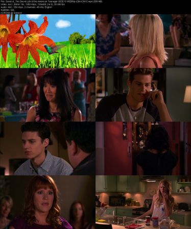 The Secret Life of the American Teenager S02 WEBRip x264-ION10
