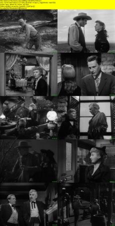 The Furies 1950 BRRip XviD MP3-XVID