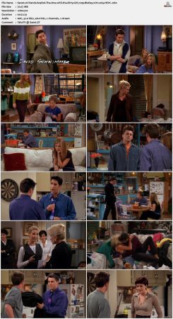 Friends S04 720p BluRay 2CH x265 HEVC-PSA
