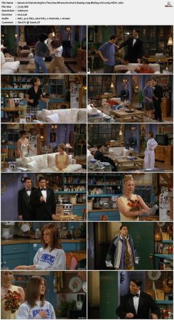 Friends S03 720p BluRay 2CH x265 HEVC-PSA