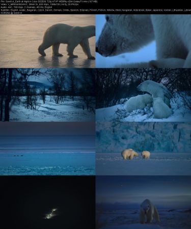 Earth at Night in Color S02 720p ATVP WEBRip x264-GalaxyTV