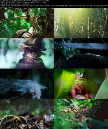 Tiny World S02 720p ATVP WEBRip x264-GalaxyTV