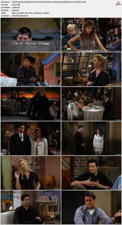 Friends S03 720p BluRay 2CH x265 HEVC-PSA