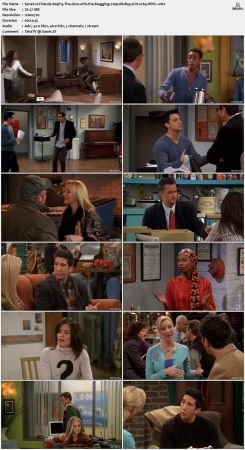 Friends S09 720p BluRay 2CH x265 HEVC-PSA