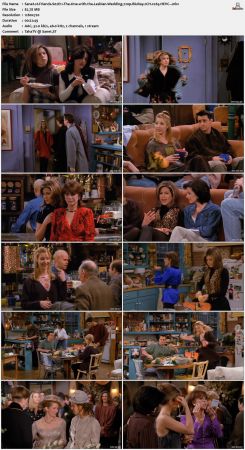 Friends S02 720p BluRay 2CH x265 HEVC-PSA