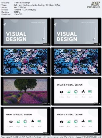 Visual Design for Beginners using Canva Pro
