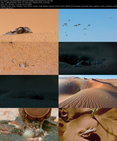 Tiny World S02 720p ATVP WEBRip x264-GalaxyTV