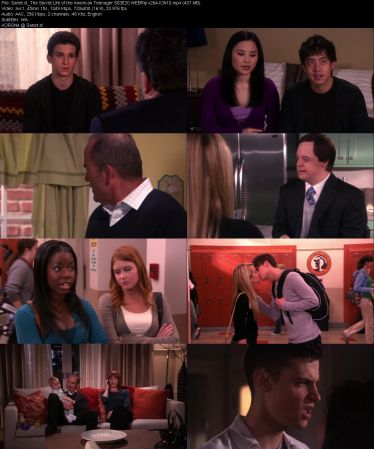 The Secret Life of the American Teenager S03 WEBRip x264-ION10