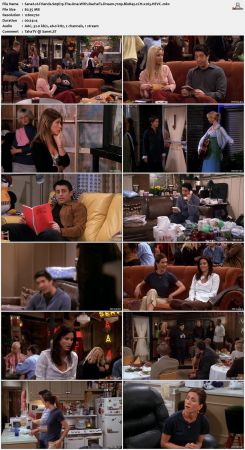 Friends S09 720p BluRay 2CH x265 HEVC-PSA
