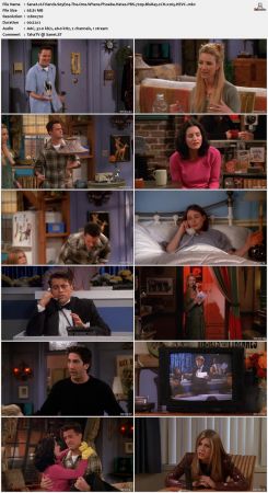Friends S05 720p BluRay 2CH x265 HEVC-PSA
