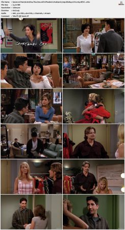 Friends S02 720p BluRay 2CH x265 HEVC-PSA