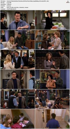 Friends S02 720p BluRay 2CH x265 HEVC-PSA