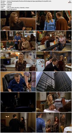 Friends S03 720p BluRay 2CH x265 HEVC-PSA