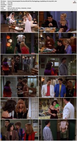 Friends S05 720p BluRay 2CH x265 HEVC-PSA