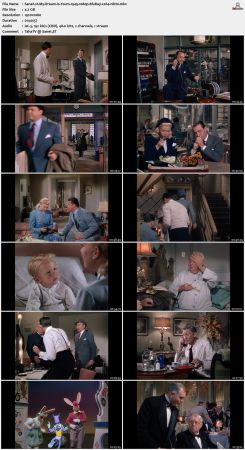 My Dream Is Yours 1949 1080p BluRay x264-nikt0