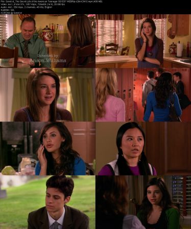The Secret Life of the American Teenager S01 WEBRip x264-ION10