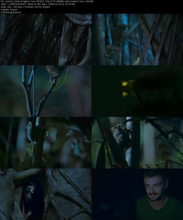 Earth at Night in Color S01 PART1 720p ATVP WEBRip x264-GalaxyTV