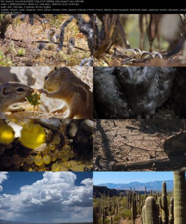 Tiny World S02 720p ATVP WEBRip x264-GalaxyTV