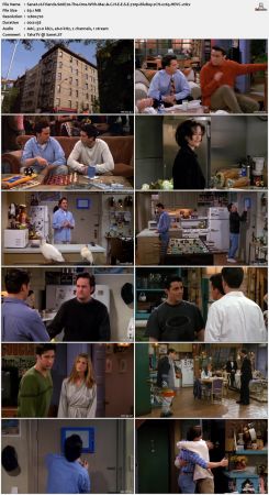 Friends S06 720p BluRay 2CH x265 HEVC-PSA