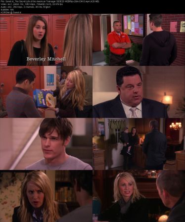 The Secret Life of the American Teenager S03 WEBRip x264-ION10