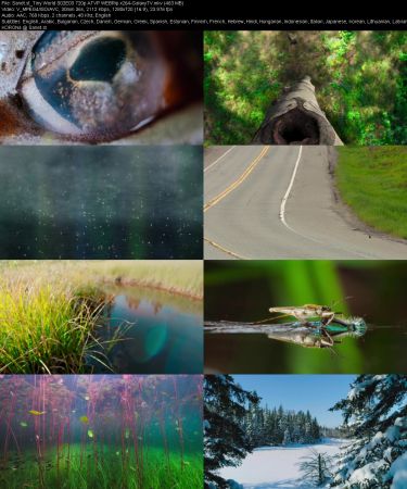 Tiny World S02 720p ATVP WEBRip x264-GalaxyTV