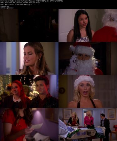 The Secret Life of the American Teenager S05 WEBRip x264-ION10