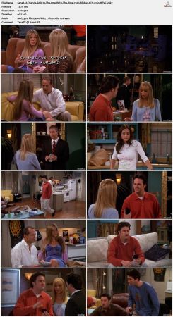 Friends S06 720p BluRay 2CH x265 HEVC-PSA